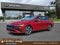 2025 Hyundai ELANTRA Limited FWD