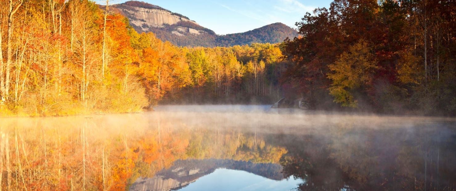 Guide to Seasonal Maintenance in Springfield, PA