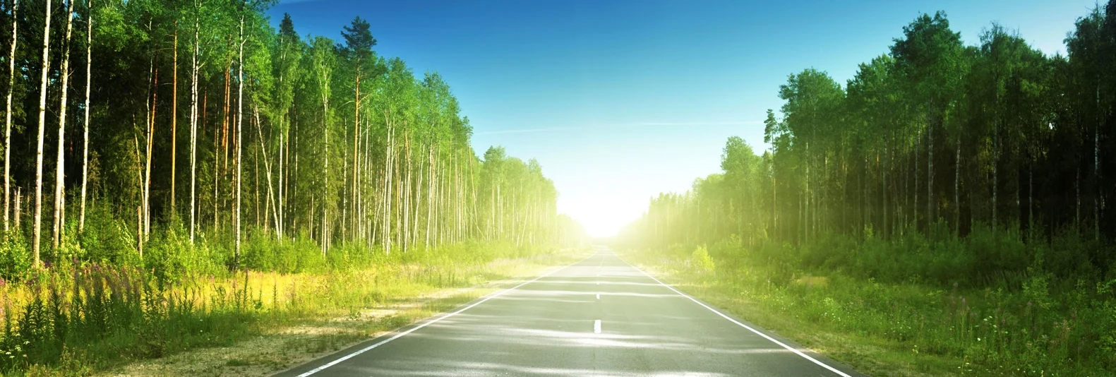 Top Summer Maintenance Needs for Your Hyundai in Springfield, PA
